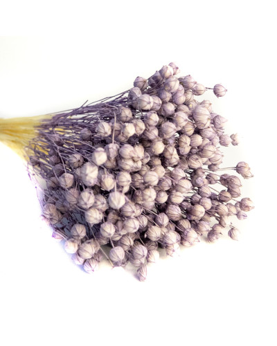 Льон фарбований (фіолетовий ~ 50 г)