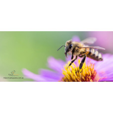 Кружка керамічна з логотипом