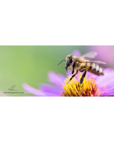 Кружка керамічна з логотипом Кружка керамічна з логотипом