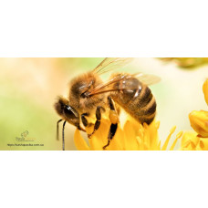 Кружка керамічна з логотипом