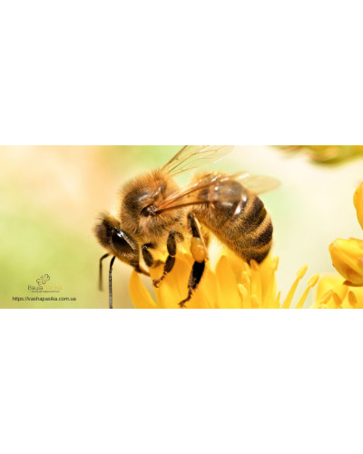 Кружка керамічна з логотипом Кружка керамічна з логотипом