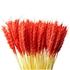 Колоски пшениці декоративні (10 штук, червоні)