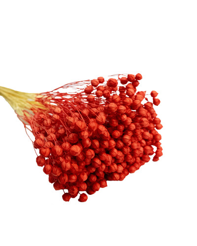 Льон фарбований (червоний ~ 50 г)