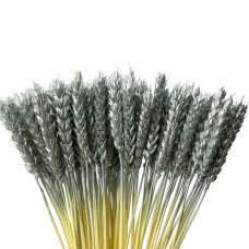 Колоски пшениці декоративні (15 штук, срібні)