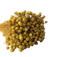 Льон фарбований (натуральний +-50 г)