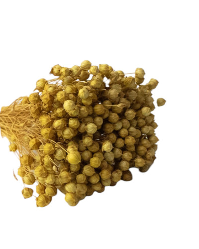 Льон фарбований (натуральний +-50 г)