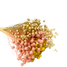 Льон фарбований (мікс  +-50 г)