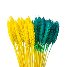 Колоски пшениці декоративні (10 штук, 6-7 см)