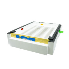 Дно пенополистирольное гигиеническое Дадан деленное неокрашенное