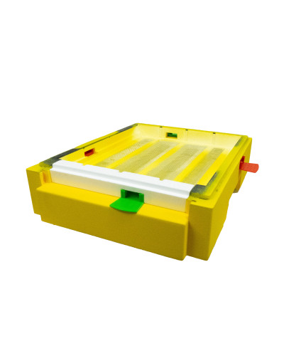 Дно пенополистирольное гигиеническое Дадан деленное крашеное желтое