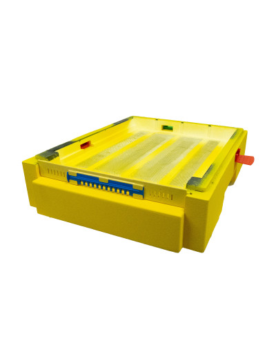 Дно пенополистирольное гигиеническое Дадан деленное крашеное желтое