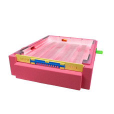 Дно пенополистирольное гигиеническое Дадан деленное крашеное розовое