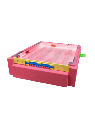 Дно пенополистирольное гигиеническое Дадан деленное крашеное розовое