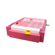 Дно пенополистирольное гигиеническое Дадан деленное крашеное розовое