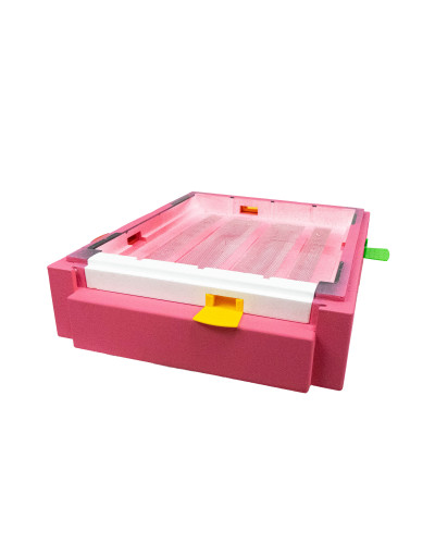 Дно пенополистирольное гигиеническое Дадан деленное крашеное розовое