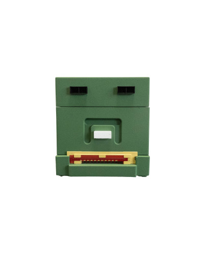 Нуклеусный пенополистирольный улей на 4 семьи BeeHome крашеный зеленый