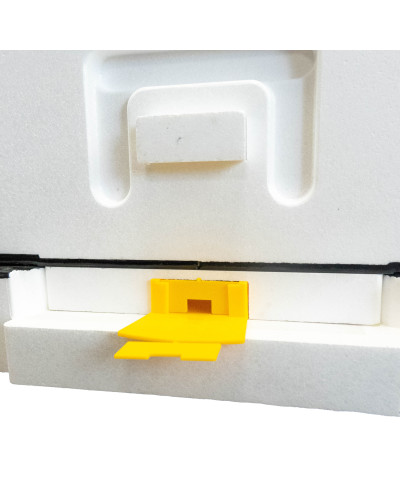 Нуклеусный пенополистирольный улей на 4 семьи BeeHome крашеный зеленый