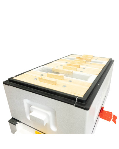 Нуклеусный пенополистирольный улей на 4 семьи BeeHome крашеный розовый