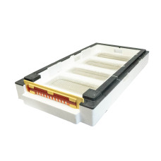 Дно пенополистирол 6 рамок гигиеническое деленное неокрашенное