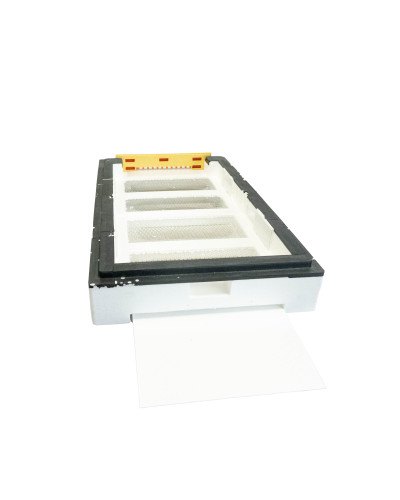 Дно пенополистирол 6 рамок гигиеническое деленное неокрашенное