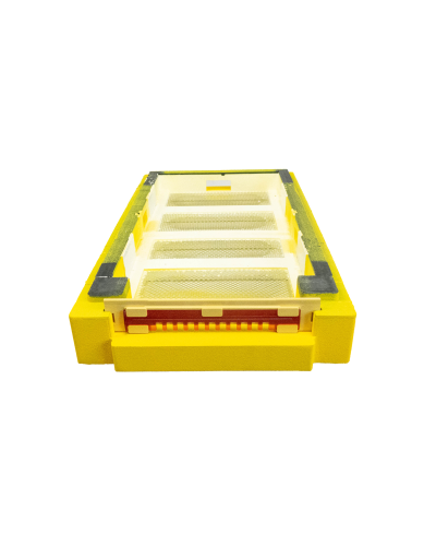 Дно пенополистирол 6 рамок гигиеническое деленное крашеное желтое