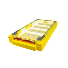 Дно пенополистирол 6 рамок гигиеническое деленное крашеное желтое