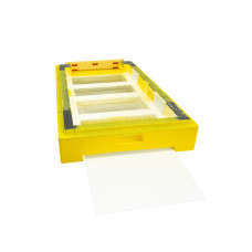 Дно пенополистирол 6 рамок гигиеническое деленное крашеное желтое