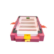Дно пенополистирол 6 рамок гигиеническое деленное крашеное розовое