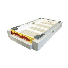 Дно пенополистирол 6 рамок гигиеническое деленное крашеное серое