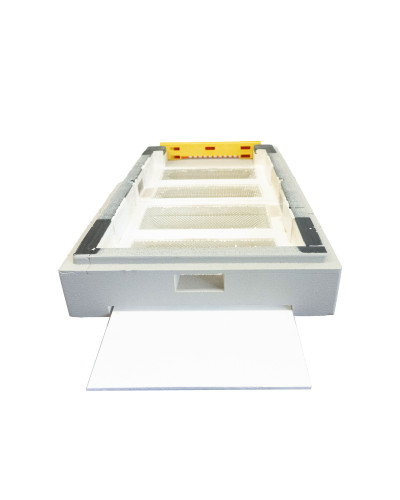 Нуклеусный улей пенополистирольный на 4 семьи BeeHome крашеный серый