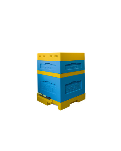 Вулик пінополістирольний Дадан на 12 рамок (6х6) Lyson з гігієнічним дном на дві сім'ї фарбований