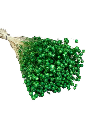 Льон фарбований (зелений ~ 50 г)