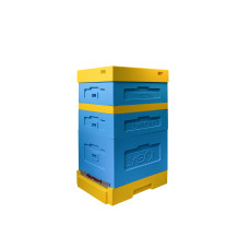 Вулик пінополістирольний Дадан на 10 рамок Lyson з гігієнічним дном фарбований