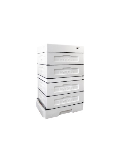 Вулик пінополістирольний Дадан 1/2 на 10 рамок Lyson з гігієнічним дном нефарбований