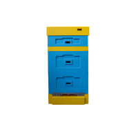 Вулик пінополістирольний Рута на 10 рамок Lyson з гігієнічним дном фарбований