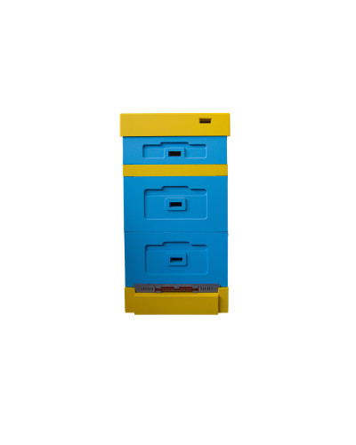 Вулик пінополістирольний Рута на 10 рамок Lyson з гігієнічним дном фарбований