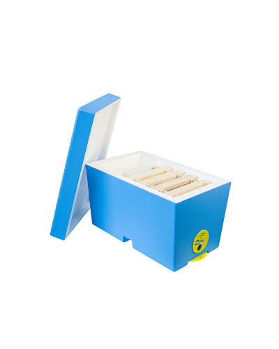 Нуклеус пінополістирольний на 1 сім`ю Lyson фарбований Нуклеус пінополістирольний на 1 сім`ю Lyson фарбований