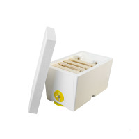 Нуклеус пінополістирольний на 1 сім`ю Lyson нефарбований