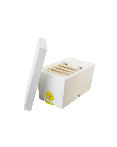 Нуклеус пенополистирольный на 1 семью Lyson некрашеный