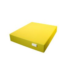 Крыша для 10-ти рамочного улья Lyson пенополистирольная высокая крашеная