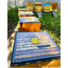 Стеля до вулика на 10 рамок панорамна з термометром