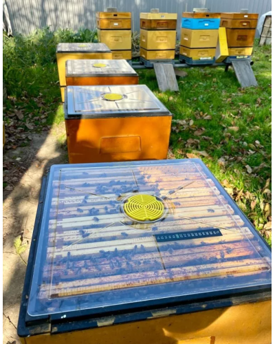 Стеля до вулика на 10 рамок панорамна з термометром