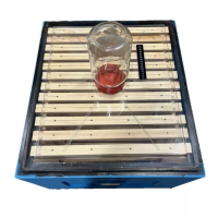 Стеля до вулика на 10 рамок панорамна з термометром