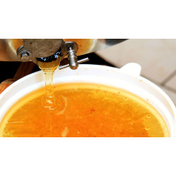 Як процідити мед?