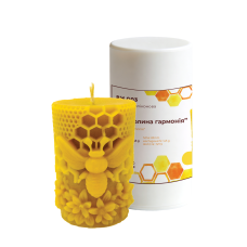 Форма силіконова “Бджолина гармонія”