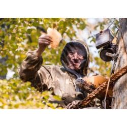 Викачка меду: основні правила та поради