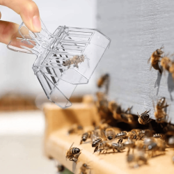 Які інструменти необхідні для здоров’я бджолиної матки?