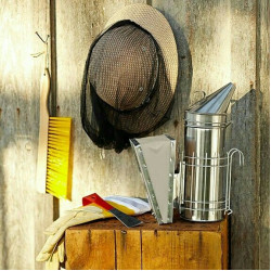 Які інструменти для роботи з бджолами потрібні новачку?