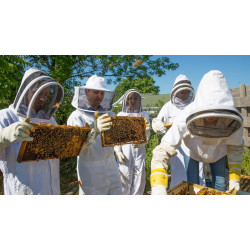 Курси практичного бджільництва