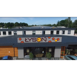 Фірма Lyson святкує 20 років